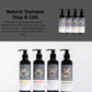 Pet Charcoal Shampoo Oatmeal 250ml Bundle of 3pcs Grapefruit MDC